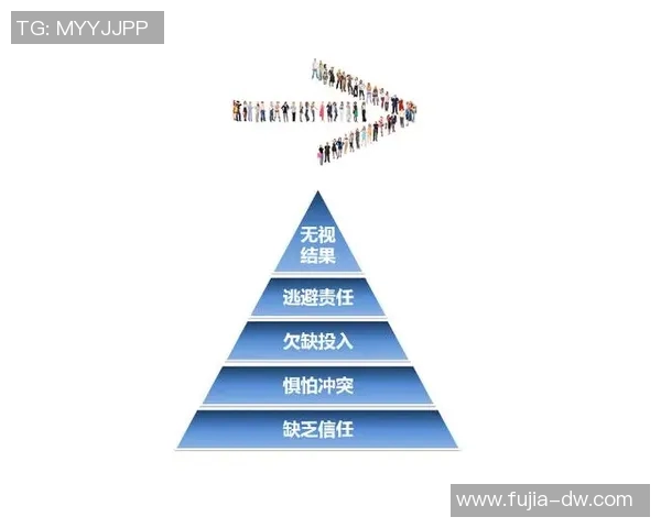 深圳羽毛球队团队协作深度解析及其对比赛成绩的影响研究